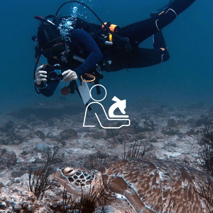 Image of a sea turtle biologist from Olive Ridley Project doing Photo-Id reseach by photographing a green turtle underwater whilst diving.