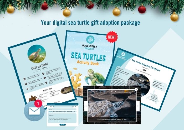 Wild digital adoption package new