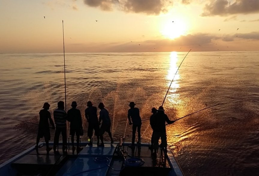 Pole and Line Fishing technique in the Maldives. Image.
