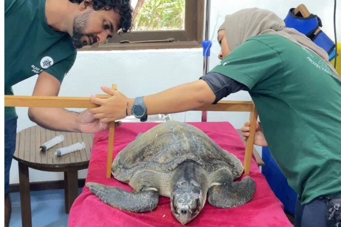 Dr Misfah, Veterinary training programme. Image.