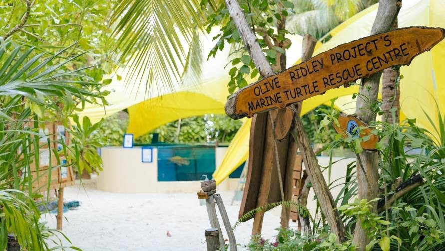 MTRC at Coco Palm Dhuni Kolhu. Image.