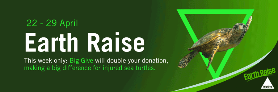 Big Give Earth Raise campaign banner 2026: double donations