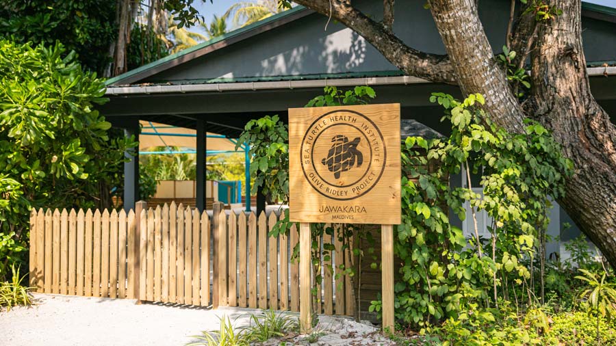 The entrance to the Sea Turtle Health Institute of Maldives at Jawakara. Image.