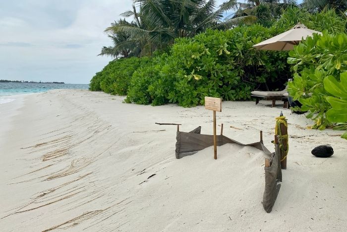 Beach erosion. Image.