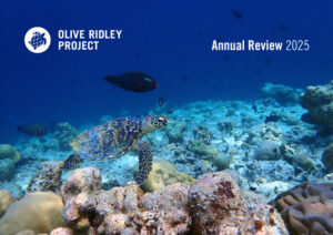 ORP Annual Review 2025 cover page of a hawksbill turtle swimming on a reef in Maldives. Image.