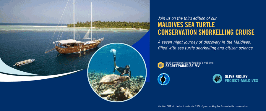 Secret Paradise & ORP Sea Turtle Cruise Maldives graphic.
