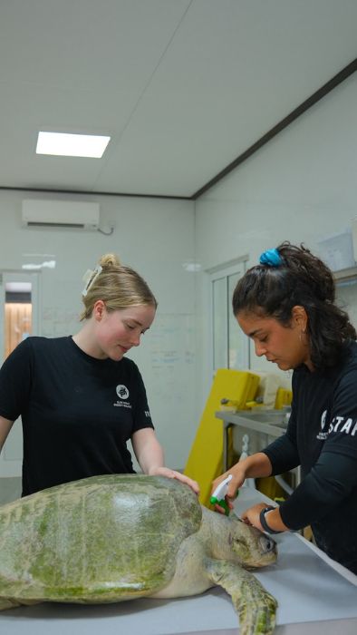 Amelia Volunteer & Dr Kelen at STHI. Image.