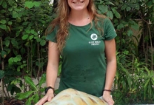 Claire and Cloud Cloud a rare white turtle and Claire the turtle vet Maldives