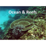 Ocean & Reefs logo