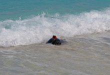 Muraka Turtle patient Muraka, an olive ridley, being released with a satellite tag from the beach in Maldives. Image.