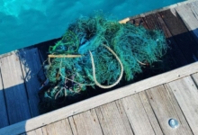 The ghost net that entangled Gus The ghost net that entangled turtle patient Gus. Image.