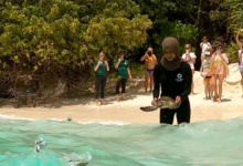 Turtle patient Usha being released from the beach at CPDK Turtle patient Usha being released from the beach at CPDK. Image.