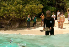 Turtle patient Usha being released from the beach at CPDK Turtle patient Usha being released from the beach at CPDK. Image.