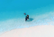 Vaarey being released An aerial shot of veterinary surgeon Mariana and veterinary nurse Tristan releasing turtle patient Vaarey with a satellite tag from the beach at Coco Palm Dhni Kolhu, Maldives. Image.
