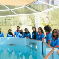 On World Turtle Day, our star patient Fida received a special visit from Maldives National University students at the North Malé Rehabilitation Centre. Our Sea Turtle Biologist, Lauren, gave an inside look into Fida’s care, while also diving into the life cycle of sea turtles and the many threats they face in the wild.