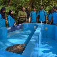 Karaa, our long-term turtle patient, stole the hearts of the young student visitors. His story sparked empathy, hope and dozens of handwritten wishes for a speedy recovery.