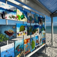 The students beamed with pride as their turtle artwork was dispayed on the beach at Niyama Resort.